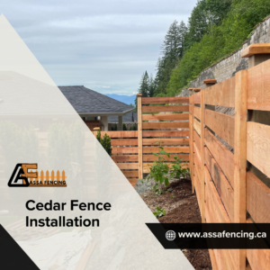 Cedar Fence Installation